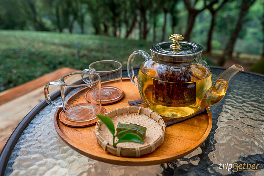 5 คาเฟ่กลางไร่ชา