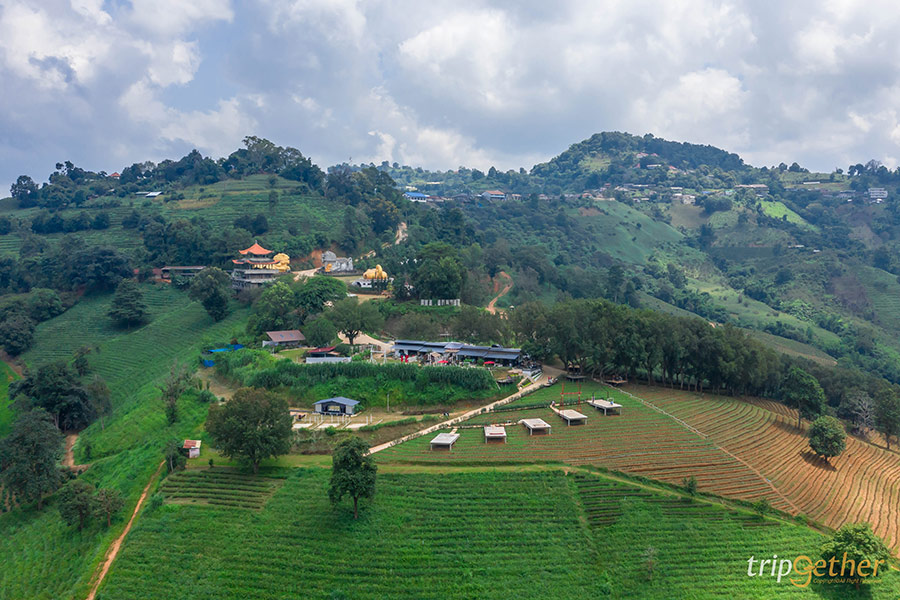 5 คาเฟ่กลางไร่ชา