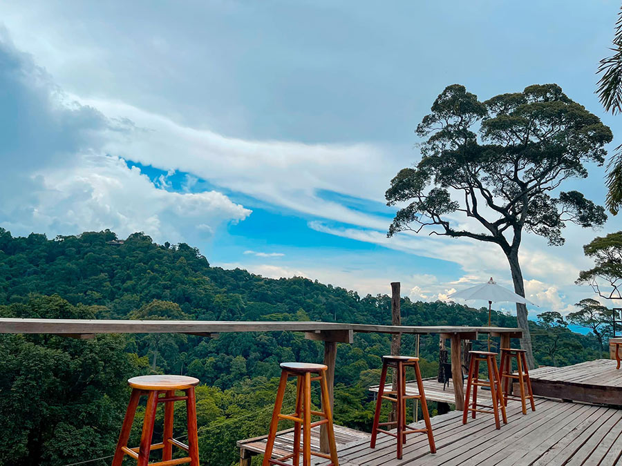 5 คาเฟ่กลางไร่ชา