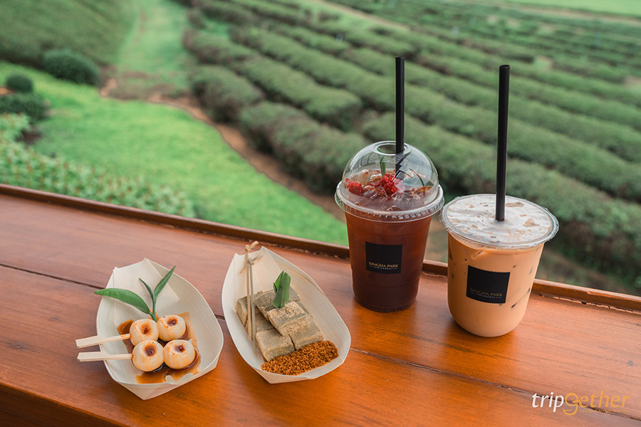 5 คาเฟ่กลางไร่ชา