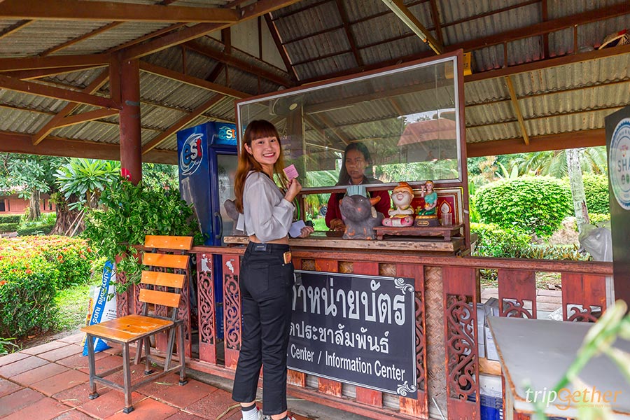 หมู่บ้านอนุรักษ์ควายไทย กินแฟ ดูฟาย