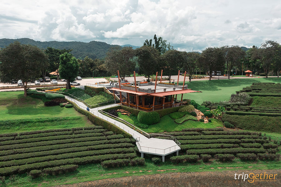 15 ร้านอาหาร-คาเฟ่เชียงรายในเมือง