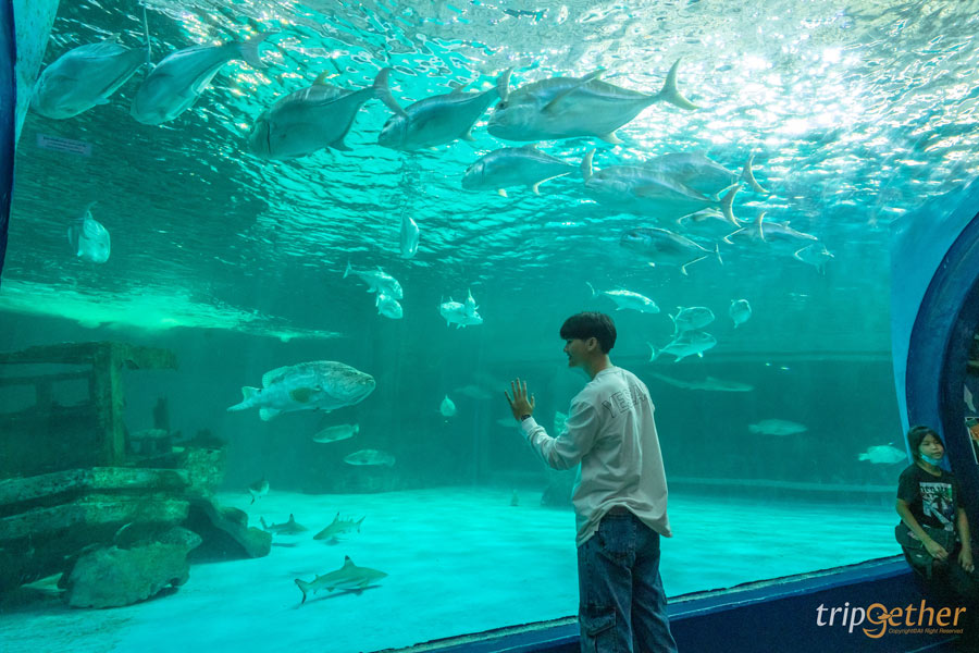 กิจกรรมน่าทำช่วงซัมเมอร์