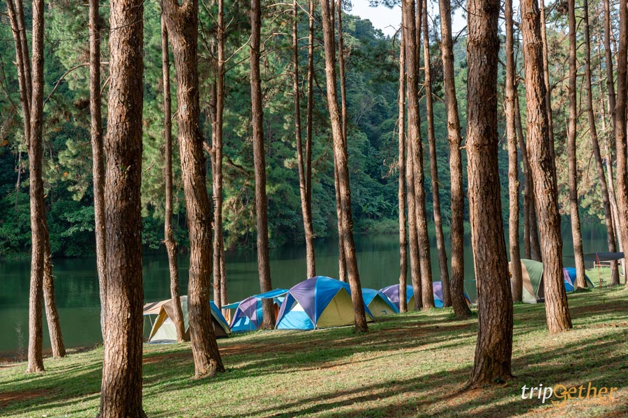 จุดกางเต็นท์ในอุทยานภาคเหนือ