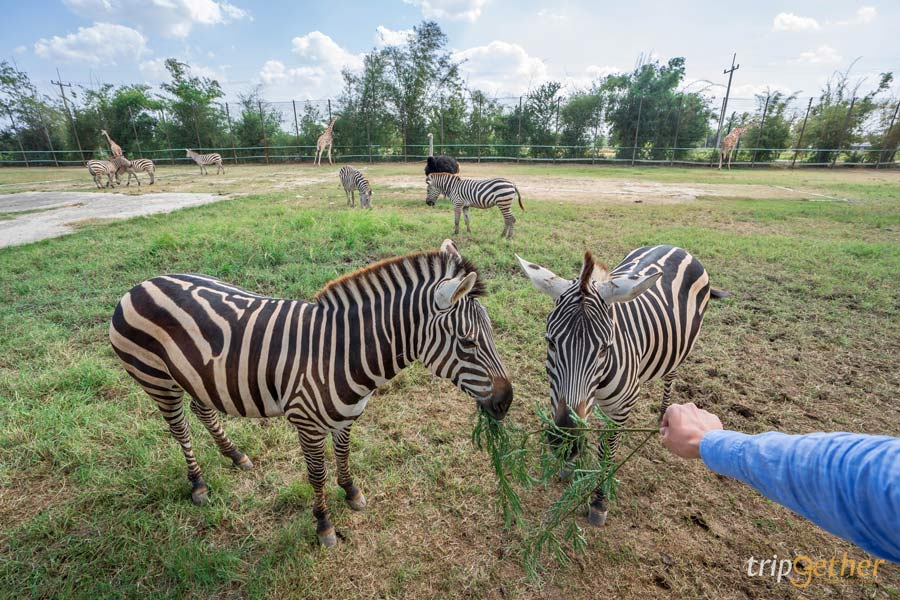 ที่เที่ยววันเด็ก