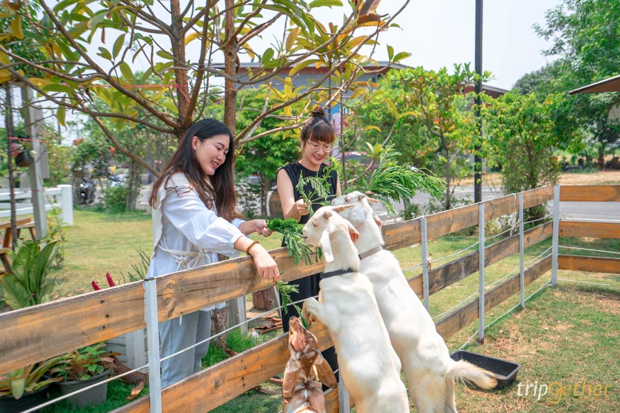 ที่เที่ยววันเด็ก