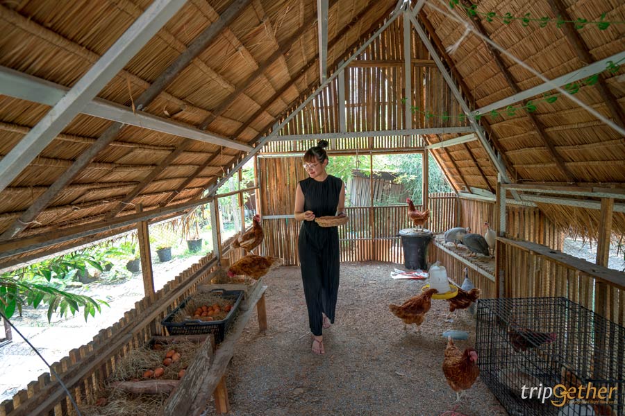 ที่เที่ยววันเด็ก