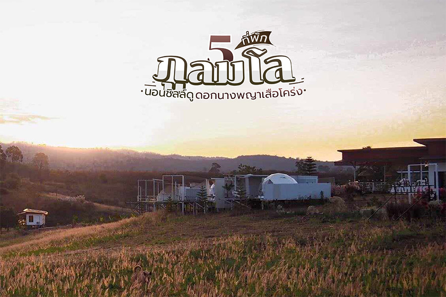 5 ที่พักภูลมโล พิกัดนอนชิลล์ พร้อมดูดอกนางพญาเสือโคร่ง