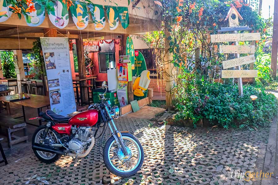 คาเฟ่แม่ฮ่องสอน 