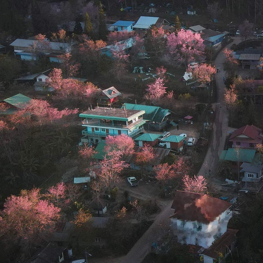 5 ที่พักภูลมโล พิกัดนอนชิลล์ พร้อมดูดอกนางพญาเสือโคร่ง