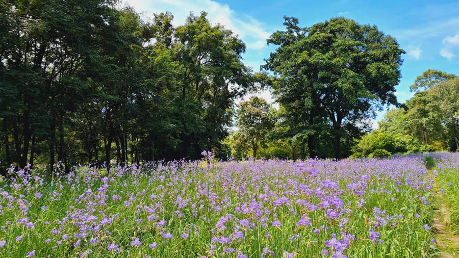 ที่พักปราจีนบุรี