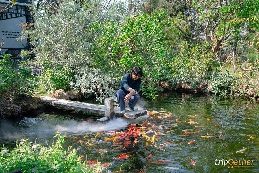 กิจกรรมน่าทำช่วงซัมเมอร์