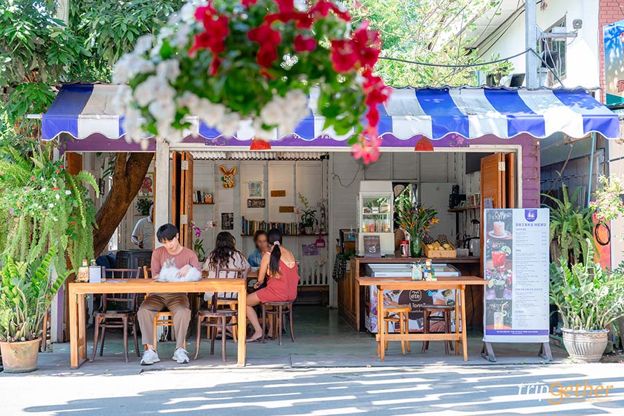 คาเฟ่แม่ฮ่องสอน 