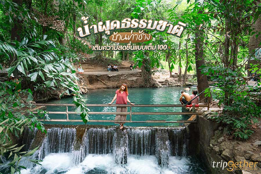 น้ำผุดธรรมชาติบ้านท่าช้าง (น้ำผุดปากช่อง) อันซีนบ่อน้ำกลางป่า เติมความสดชื่นแบบเต็ม 100