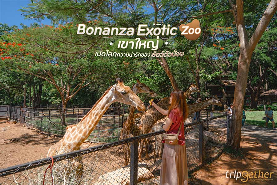 Bonanza Exotic Zoo เขาใหญ่