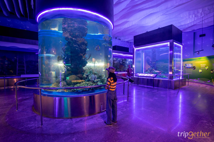 ที่เที่ยวนครสวรรค์