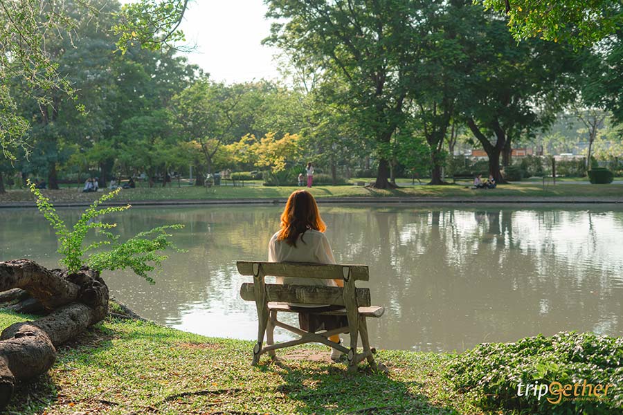 สวนจตุจักร จุดดูซากุระกลางเมือง พิกัดนั่งชิลล์ยามเย็น