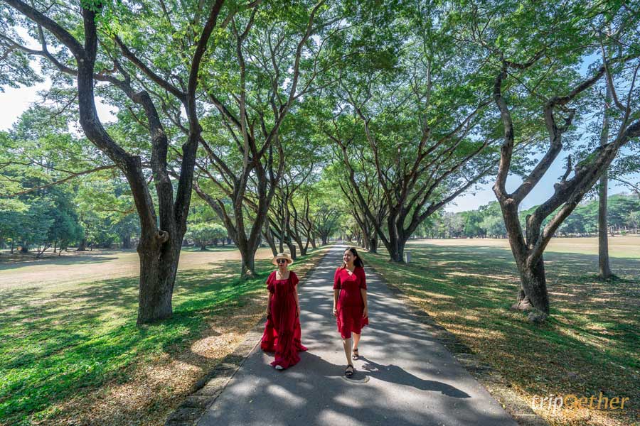 อุทยานประวัติศาสตร์ศรีสัชนาลัย สุโขทัย