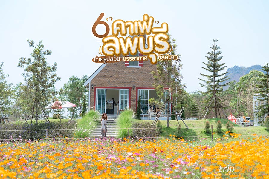 6 คาเฟ่ลพบุรี ถ่ายรูปสวย บรรยากาศชิลล์มาก