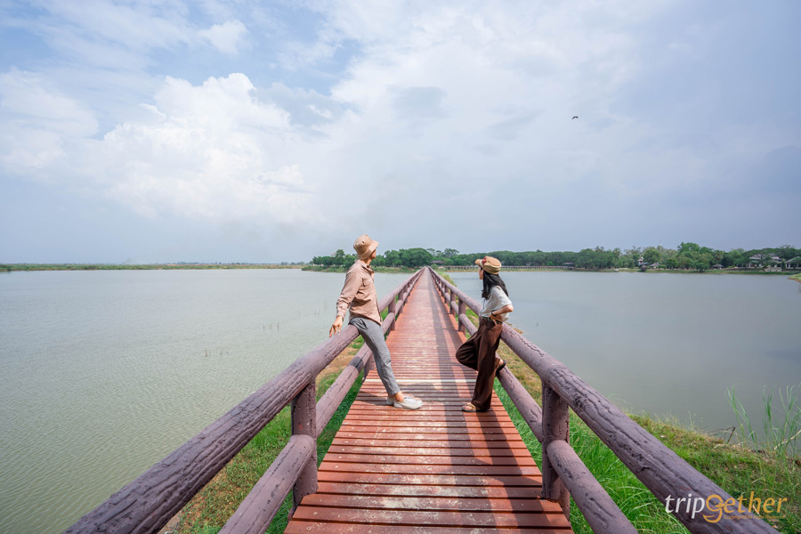 บึงบอระเพ็ด นครสวรรค์