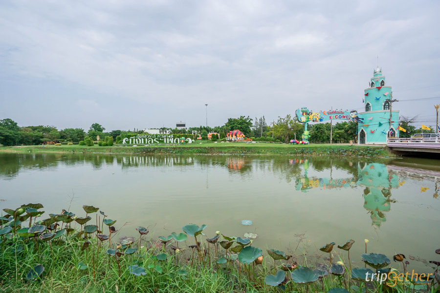 บึงบอระเพ็ด นครสวรรค์