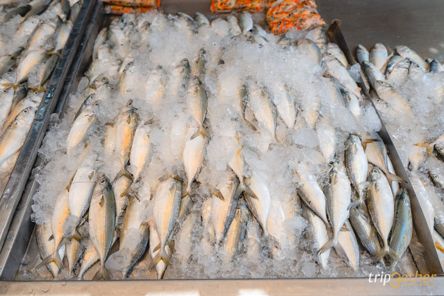 ตลาดร่มหุบ สมุทรสงคราม