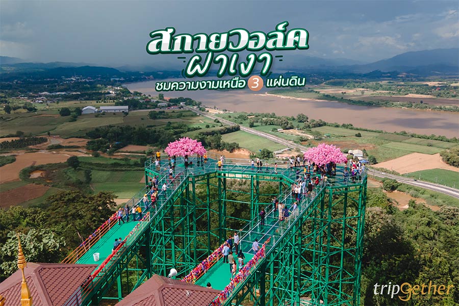 สกายวอล์คผาเงา เชียงราย ชมความงามเหนือ 3 แผ่นดิน ชมวิวแบบพาโนรามา