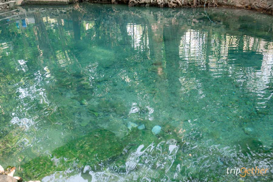 5 จุดเช็คอินน้ำใส