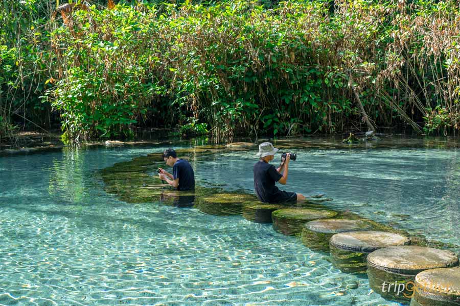 ป่าต้นน้ำบ้านน้ำราด