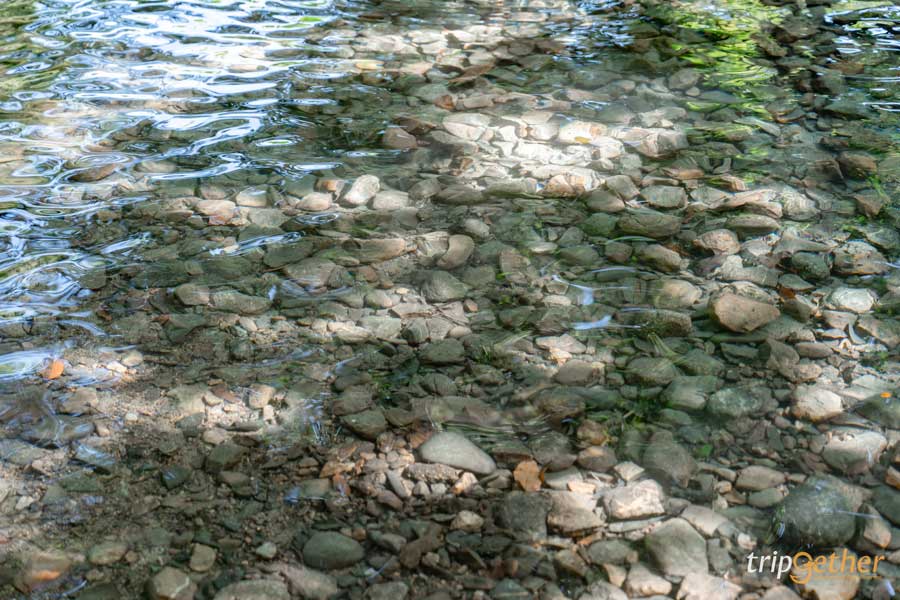 จุดเช็คอินน้ำใส