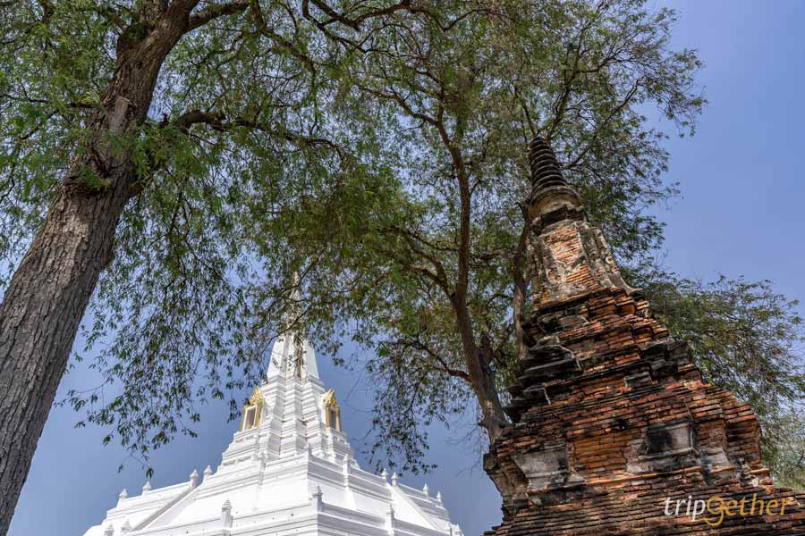 วัดสวย อยุธยา