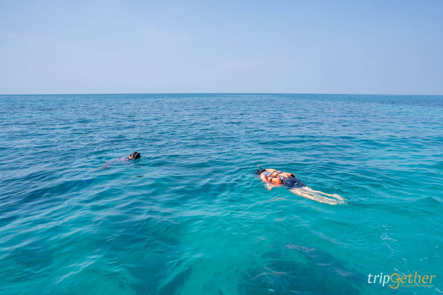 กิจกรรมน่าทำช่วงซัมเมอร์