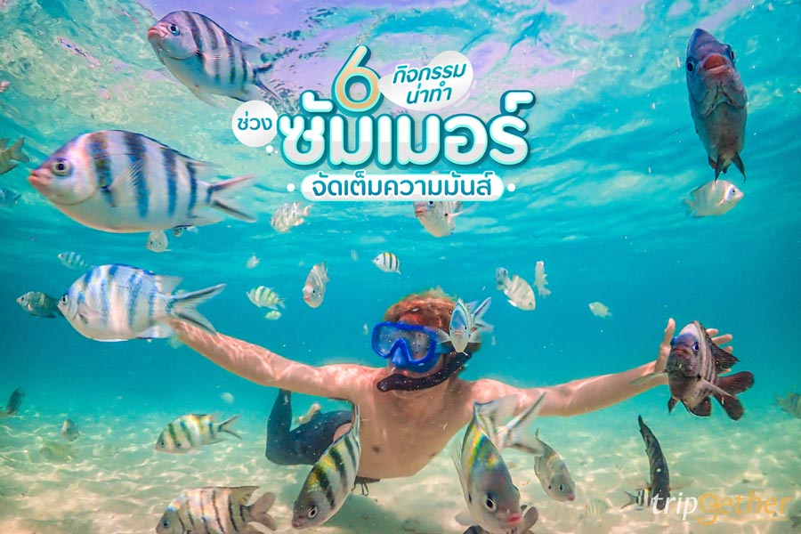 6 กิจกรรมน่าทำช่วงซัมเมอร์ จัดเต็มความมันส์ ร้อนนี้สนุกฉ่ำ!