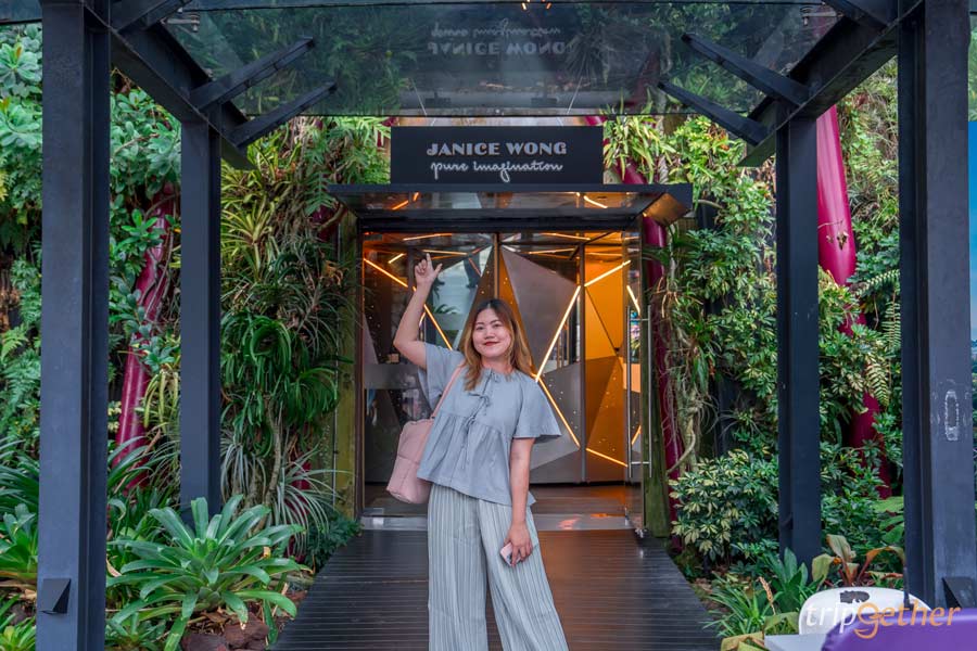 Supertree Observatory