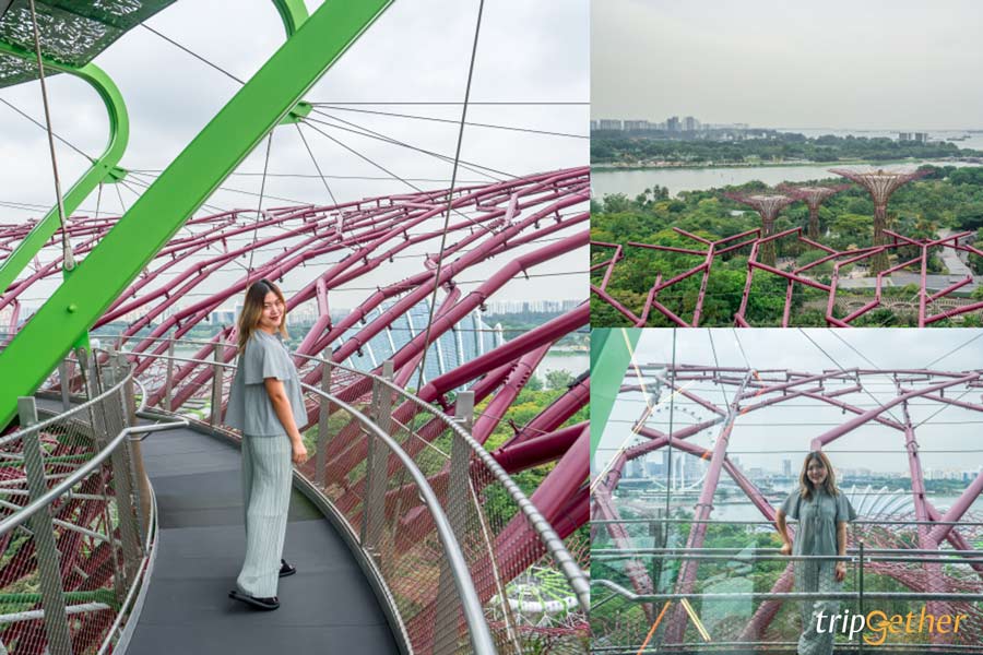 Supertree Observatory