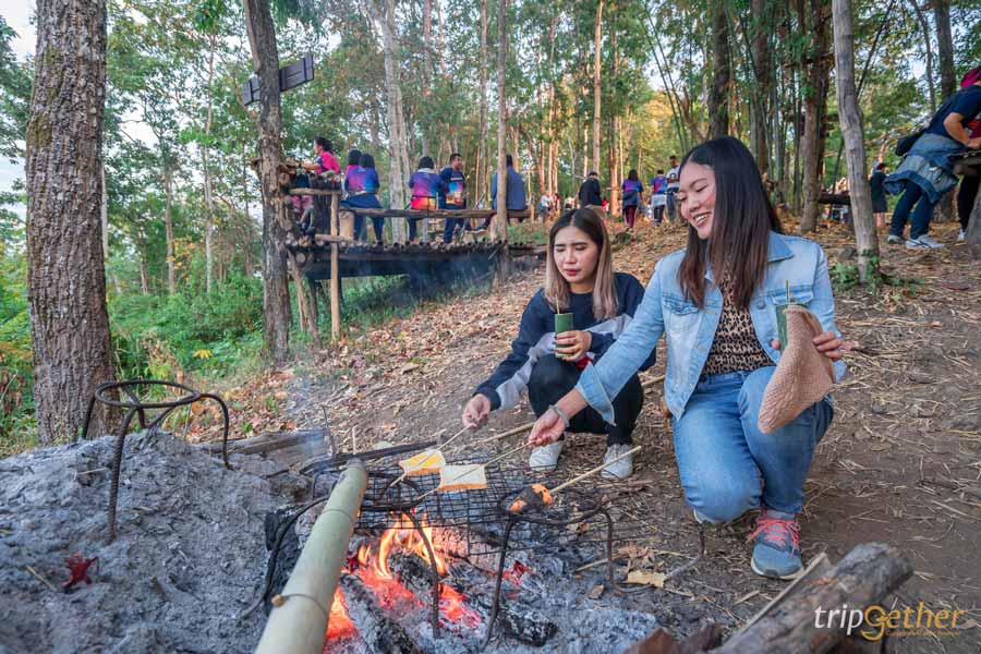 จุดชมวิวบ้านห้วยต้นไฮ