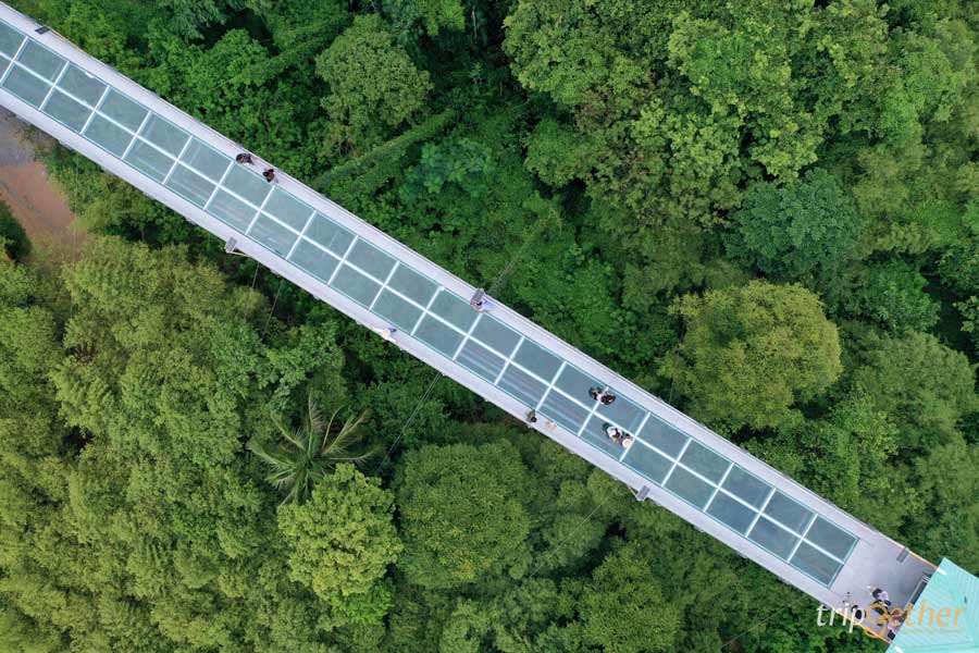 สกายวอล์คเมืองไทย วิวสวย