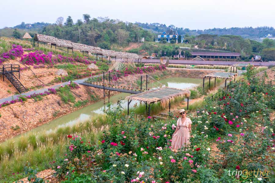 คาเฟ่สวนดอกไม้ ใกล้กรุงเทพ