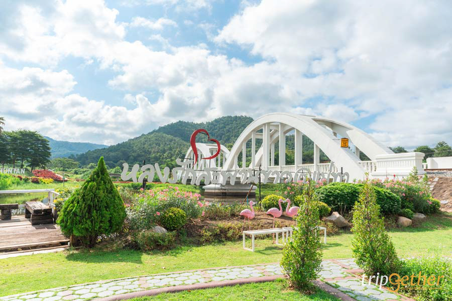 สะพานขาวทาชมภู