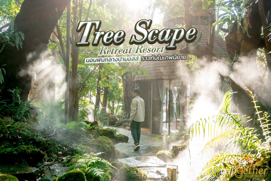 tree scape retreat resort