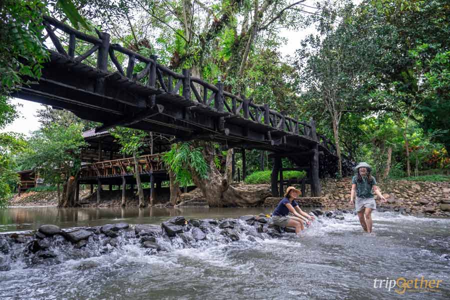 ที่พักริมน้ำกลางป่า ใกล้กรุงเทพ