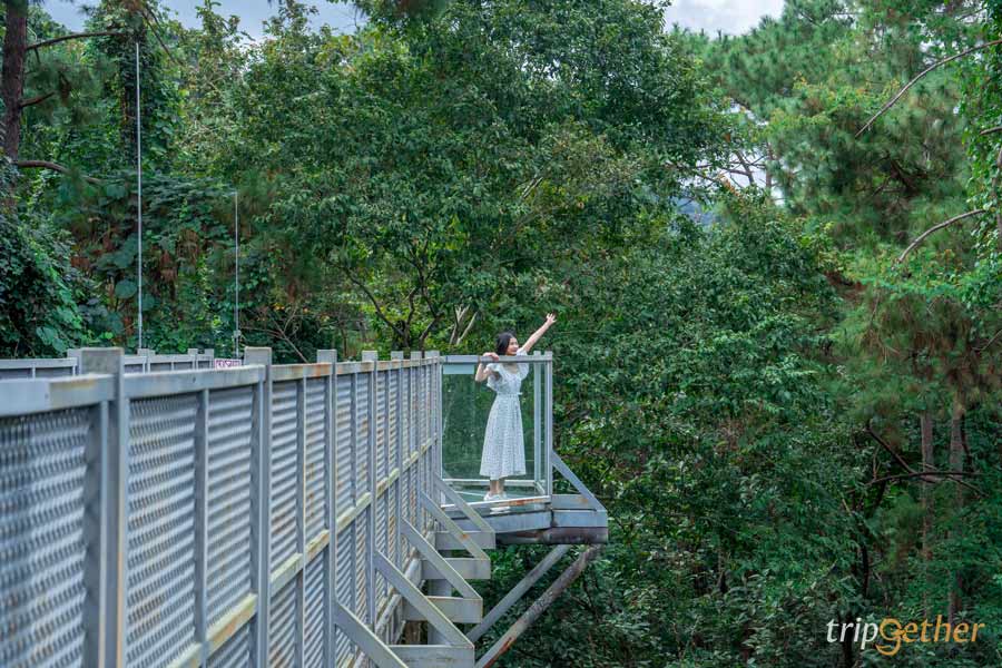 สกายวอล์คเมืองไทย วิวสวย