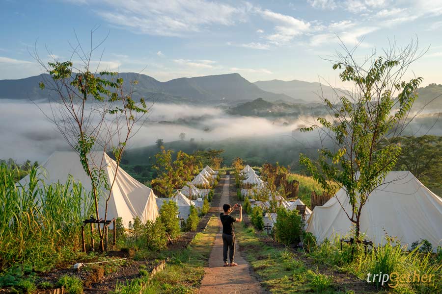 ที่พักใกล้ชิดธรรมชาติ บรรยากาศดี