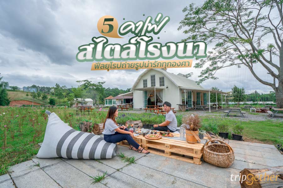 5 คาเฟ่สไตล์โรงนา ฟีลยุโรป คัดเน้นๆ พิกัดถ่ายรูปน่ารักทุกองศา