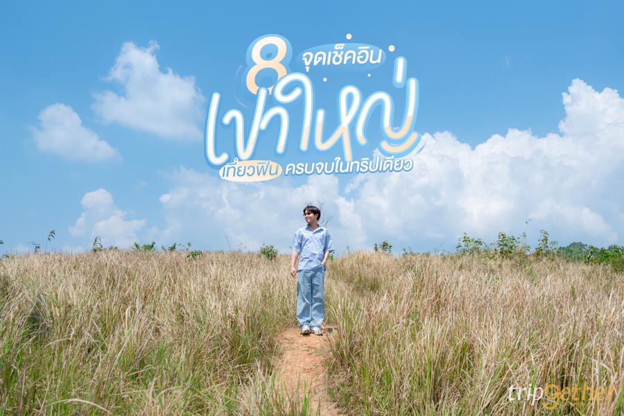 8 จุดเช็คอินเขาใหญ่ เที่ยวฟิน ครบจบในทริปเดียว