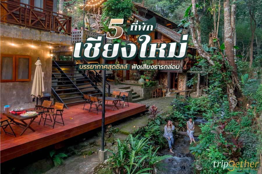 5 ที่พักเชียงใหม่ ริมธาร บรรยากาศสุดชิลล์ ฟังเสียงธารกล่อม