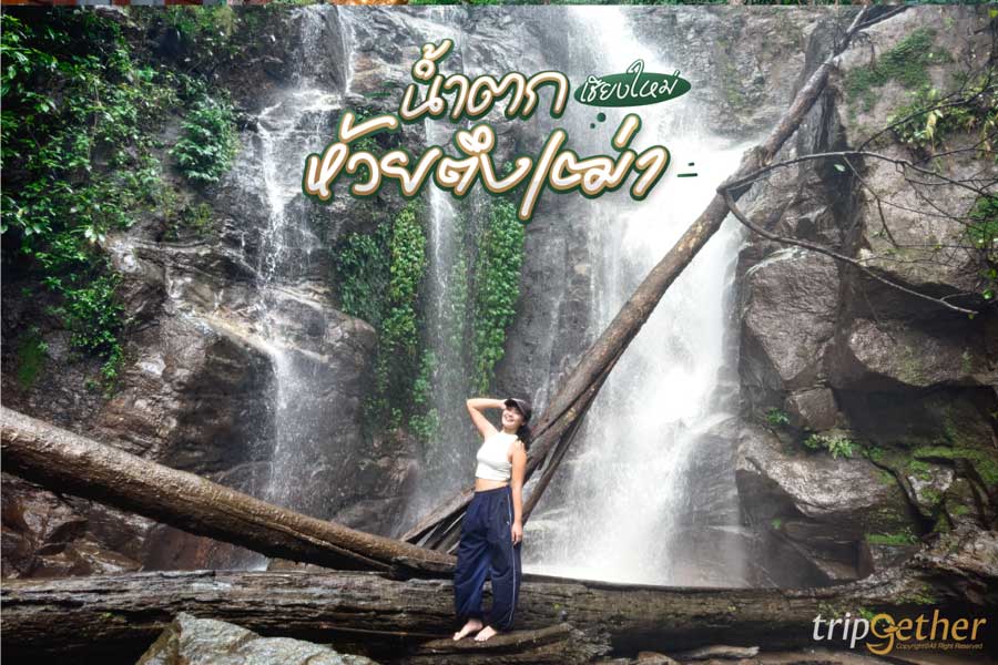 น้ำตกห้วยตึงเฒ่า เชียงใหม่ ธรรมชาติอลังกลางป่า สัมผัสความสดชื่นแบบใกล้ชิด