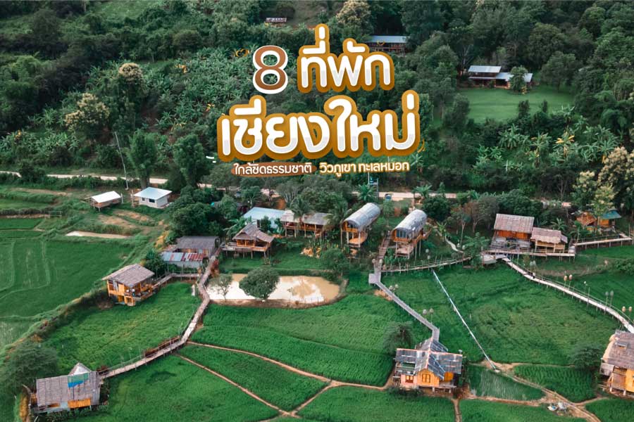 8 ที่พักเชียงใหม่ ใกล้ชิดธรรมชาติ วิวภูเขาทะเลหมอก
