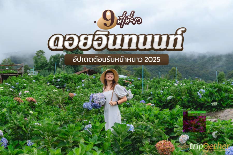 9 ที่เที่ยวดอยอินทนนท์ เชียงใหม่ อัปเดตต้อนรับหน้าหนาว 2025 ชวนสูดอากาศเย็น