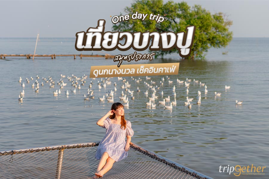 One Day Trip เที่ยวบางปู สมุทรปราการ ดูนกนางนวล เช็คอินคาเฟ่ เที่ยวง่ายถ่ายรูปสวย